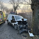 Tczew - Wypadek w Maleninie - służby dziękują świadkom