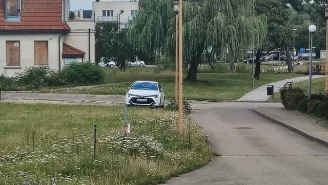 Tczew - Prośba o skoszenie trawy