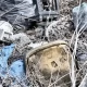 Tczew - Aż 13 dzikich składowisk śmieci na terenie Tczewa