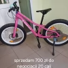 Tczew - Sprzedam rowerek Trek