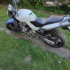 Tczew - Honda Hornet