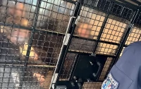 Tczew - Efekt policyjnych działań - 16 zatrzymanych w 2 dni