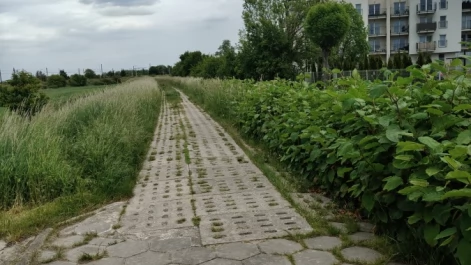Tczew - Czy lecą z nami w kulki?