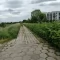 Tczew - Czy lecą z nami w kulki?
