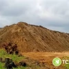 Tczew - Udostępnię teren na ziemię z wykopów budowlanych