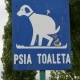 Tczew - Tczewianie nie sprzątają po psach? Strażnicy to sprawdzą