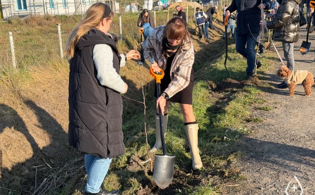 Tczew - Aleja Jabłoni na Nizinie Walichnowskiej ku pamięci społecznika Mariusza Śledzia