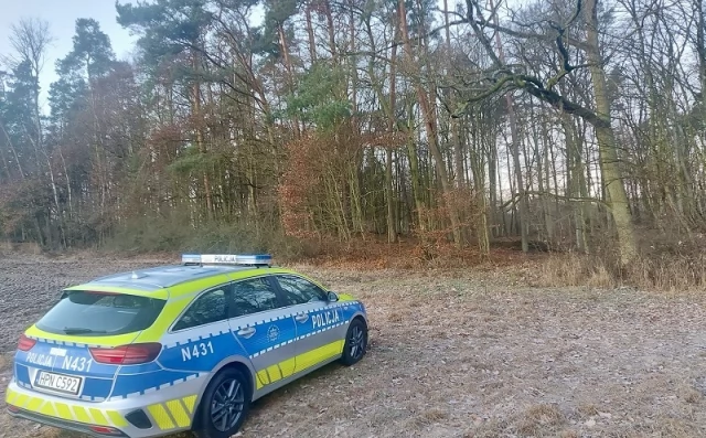 Tczew - Znaleziono niewybuchy w lesie pod Tczewem