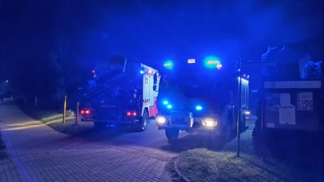 Tczew - Pożar w Rokitkach. W akcji siedem zastępów straży