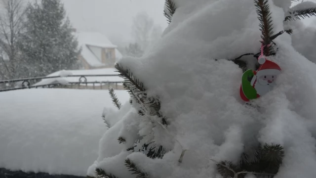 Tczew - Atak zimy. Noc pełna strażackich interwencji