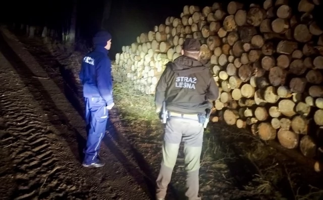 Tczew - Akcja "Choinka". Leśnicy i policja na wspólnym patrolu