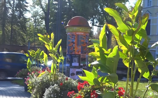 Tczew - Ponad 2 tysiące krokusów zakwitnie na wiosnę