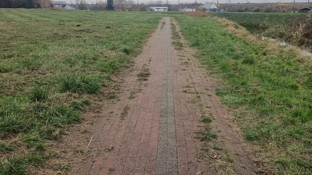 Tczew - Stan deptaka nad Milenem