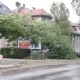 Tczew - Wiatr przybiera na sile - strażacy walczą z żywiołem