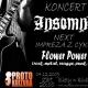 Tczew - Na rockową nutę