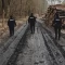 Tczew - Usłyszeli strzały i zgubili się w lesie. Mundurowi ruszyli z pomocą