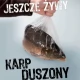 Tczew - Świąteczny los karpi - "upewnij się, że były humanitarnie traktowane"