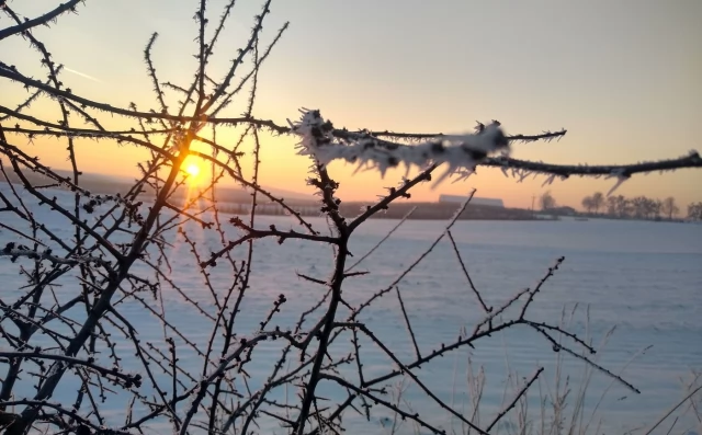 Tczew - To będzie mroźna noc. Nawet -17°C
