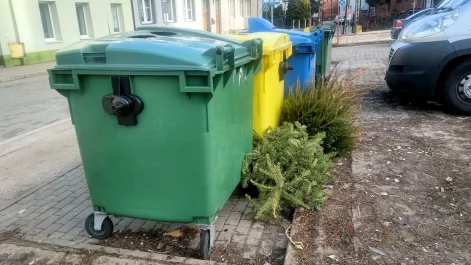Tczew - Co zrobić z choinką po świętach?