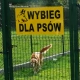 Tczew - Dwa już są. Gdzie kolejne?