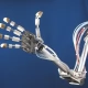 Tczew - Robotyka i informatyka - CED zaprasza dzieci i młodzież na pokaz