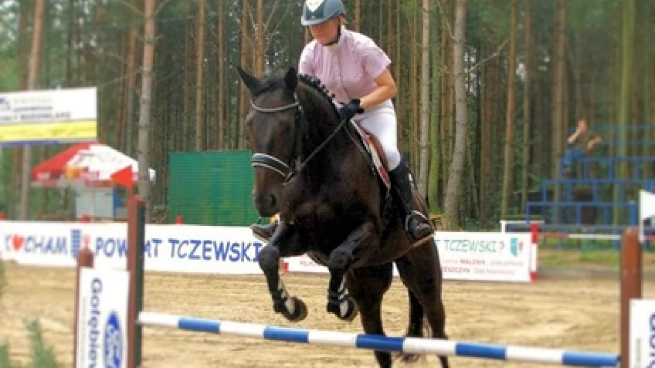 Jeździeckie Grand Prix Kociewia