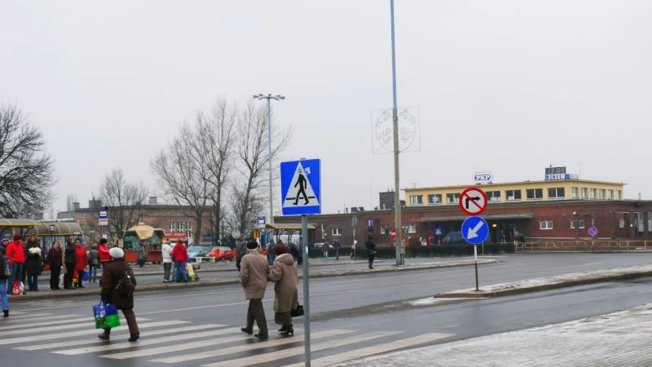 Szukali i liczyli tczewskich bezdomnych