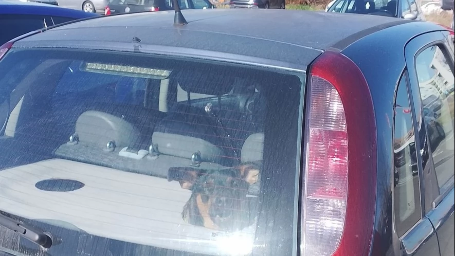 Taki widok na parkingu