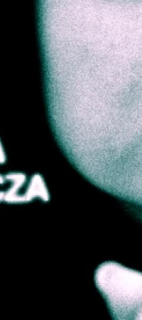 Cisza wyborcza