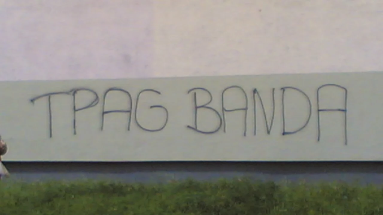 Wandale problemem miasta