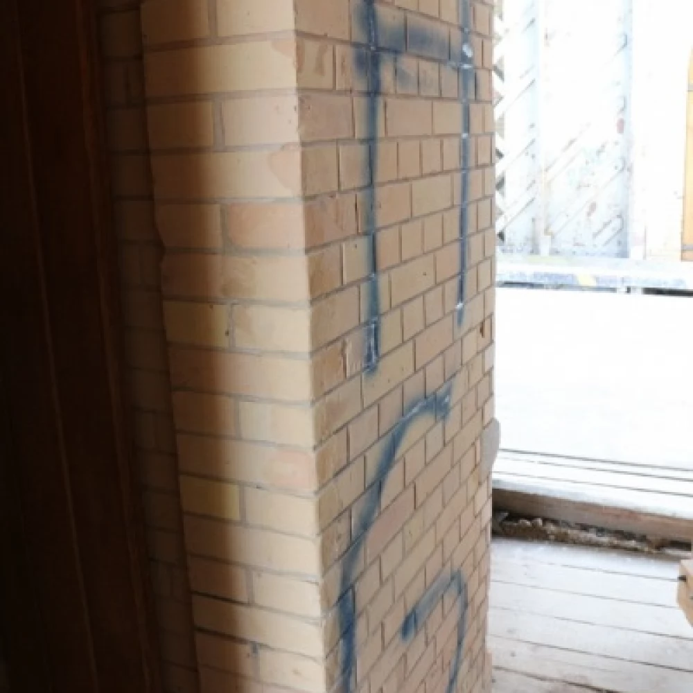 Wandale żółto-niebiescy