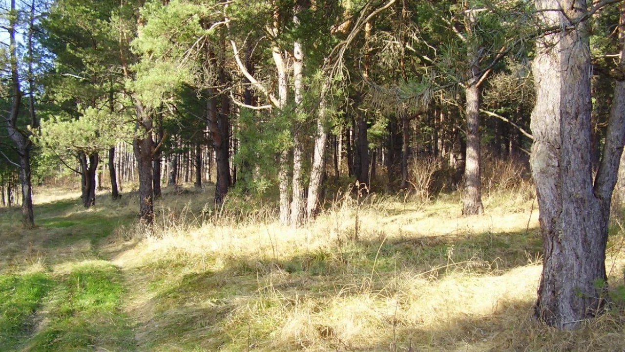 Zamiast blokowiska - będą tereny zielone