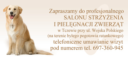 reklama-tczew-632