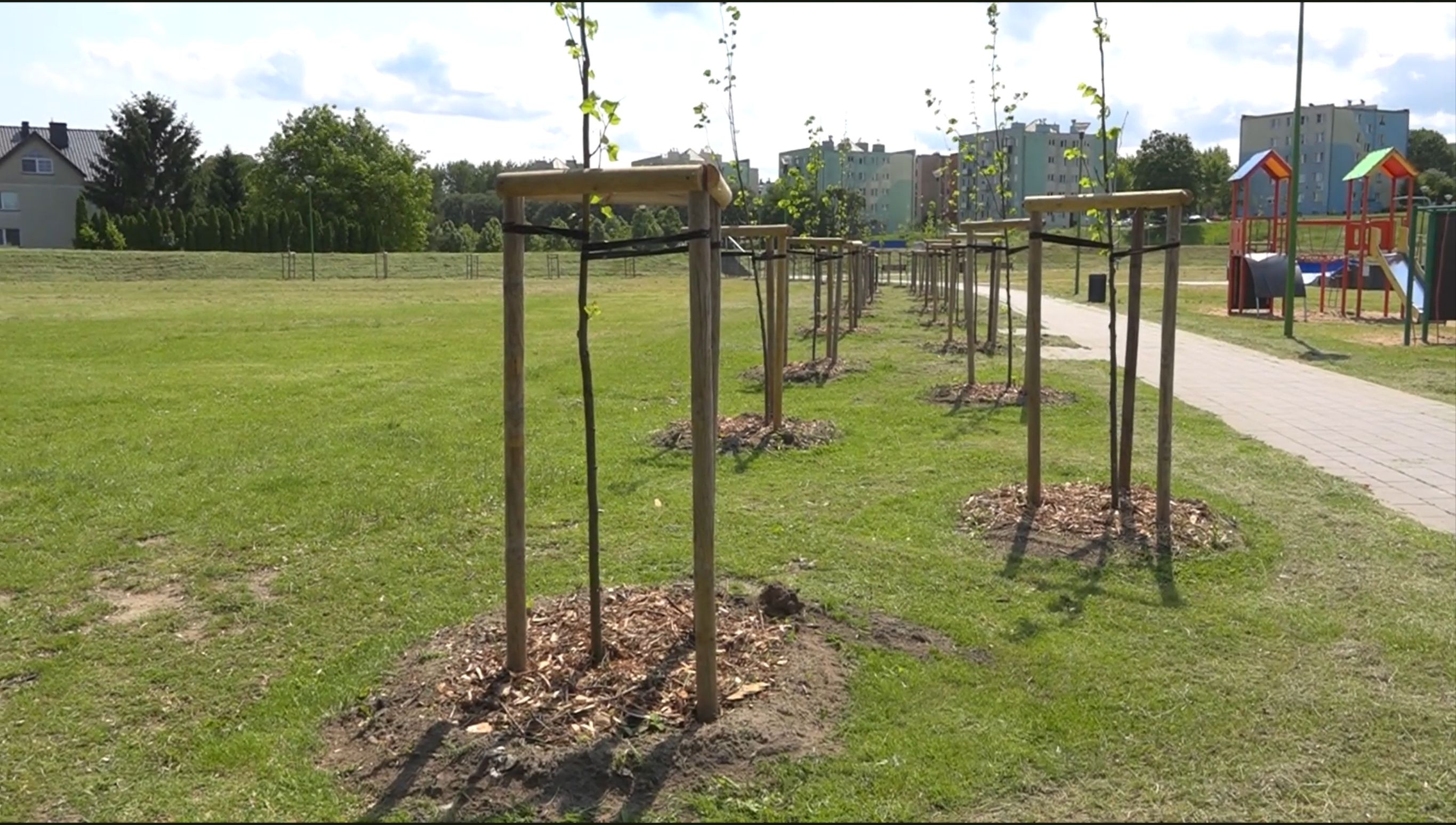 Zakończono wiosenne nasadzenia drzew - Aktualności