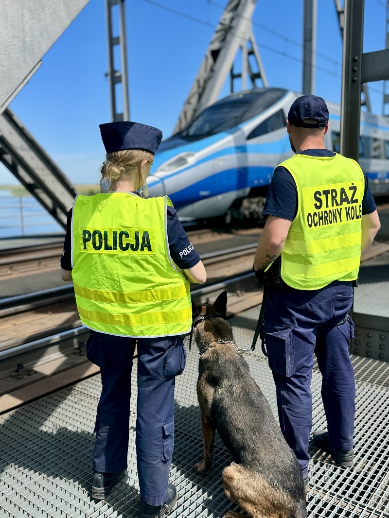 Wspólne działania policjantów i funkcjonariuszy SOK na terenie powiatu tczewskiego - Aktualności