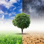 Tczew - Przyjmą plan adaptacji do zmian klimatu