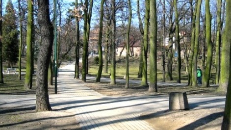 Tczew - Park Miejski, Park im. Mikołaja Kopernika, Amfiteatr