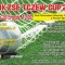 Tczew - Orlik ZSE Cup 2015