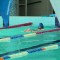 Tczew - Posypało medalami najmłodszych pływaków
