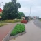 Tczew - Zielone przystanki - włącz swoją firmę w podnoszenie estetyzacji miasta