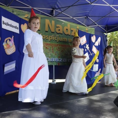 Tczew - XIV Edycja Ogrodów Nadziei - uzbierano ponad 30 tysięcy
