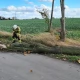 Tczew - Strażacy i energetycy walczą ze skutkami silnego wiatru [AKTUALIZACJA]