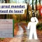Tczew - Komu grozi mandat za wjazd do lasu?