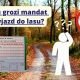 Tczew - Komu grozi mandat za wjazd do lasu?