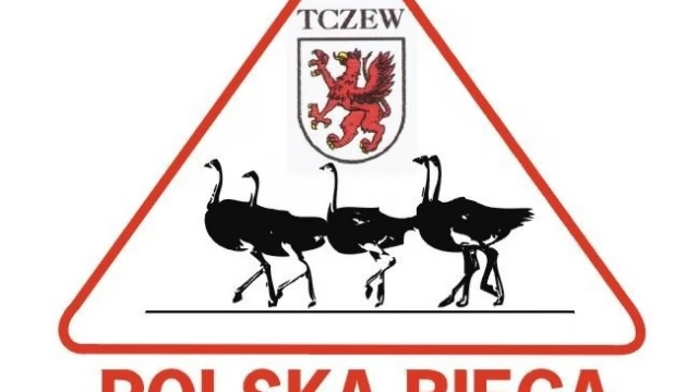 Tczew - Polska biega - Tczew też