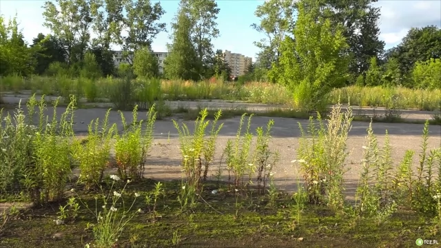 Tczew - 11 mln zł wpływa do kasy miasta po sprzedaży dawnej jednostki