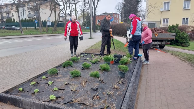 Tczew - Kolejny zielony przystanek na terenie Tczewa