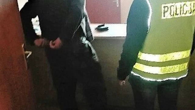 Tczew - 56-latek zatrzymany za kłusownictwo. Miał zastrzelić łosia pod ochroną