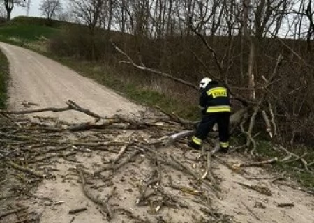 Tczew - Strażacy usuwali skutki wichury