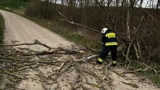 Tczew - Strażacy usuwali skutki wichury
